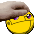 :petkick: undefined